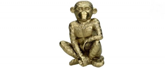 Polycerin Gold Monkey